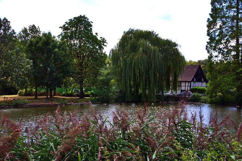 Lohmühlenpark 3 van Edgar Schermaul