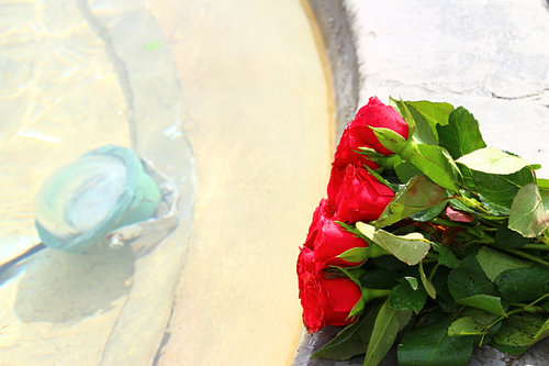 rode rozen, rome, water, detail, vakantie