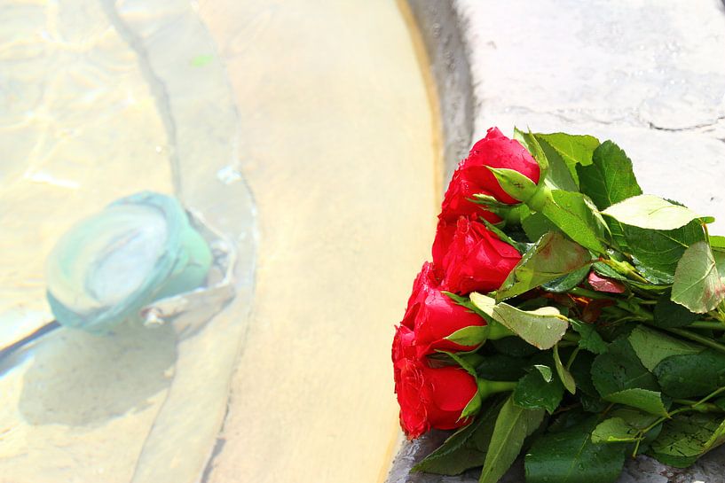 red roses, rome, water, detail, holidays by Eveline De keukelaere