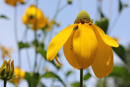 Un Moment Dans le Temps