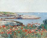 Childe Hassam, Klaprozen, Isles of Shoals, 1891 van Atelier Liesjes thumbnail