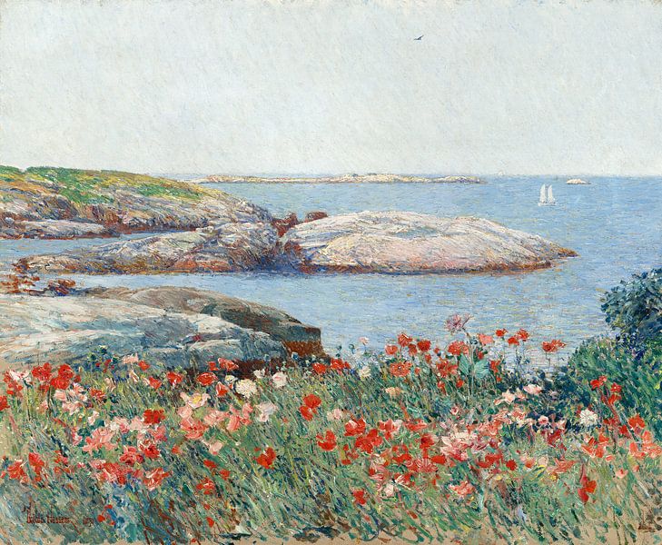 Childe Hassam, Klaprozen, Isles of Shoals, 1891 van Atelier Liesjes