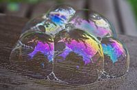 Soap Bubble Cluster on Wood