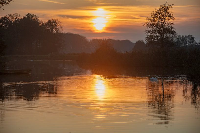 friesland evening sun by anne droogsma