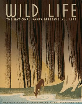 Wild life: The national parks preserve all life by Vintage Afbeeldingen