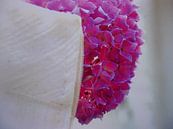 Bruidsjurk met hortensia van Birdy May thumbnail