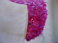 Bruidsjurk met hortensia