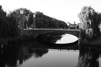 double pont