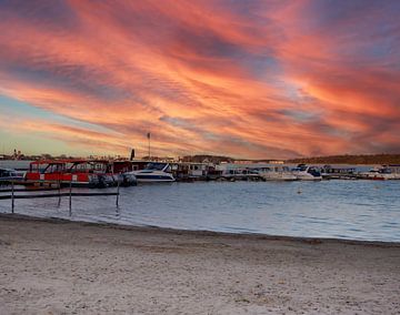 Small harbour on Lake Müritz in the Mecklenburg Lake District near Waren by Animaflora PicsStock