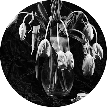 Tulpen in een glazen vaas van Roland de Zeeuw fotografie