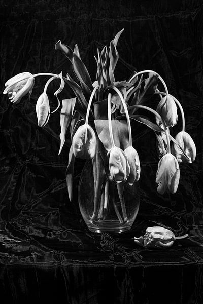 Tulipes dans un vase en verre par Roland de Zeeuw fotografie