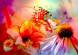 Amaryllis by Ans van der Heide