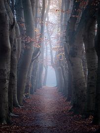 Neblige Gasse von Angela Kraan