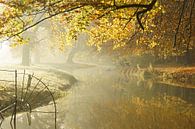 Herfst op Landgoed Elswout van Michel van Kooten thumbnail