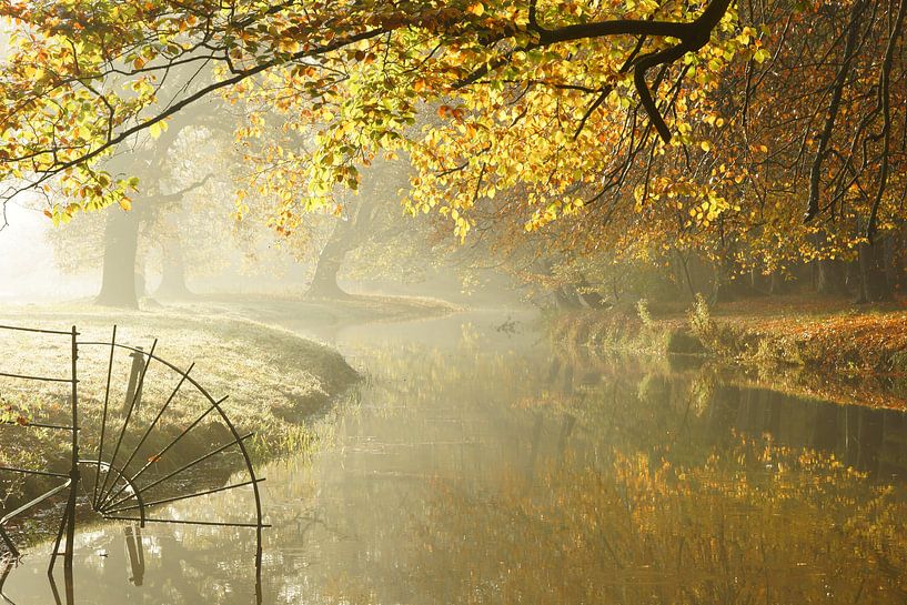 Herfst op Landgoed Elswout par Michel van Kooten