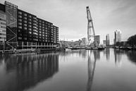 Leuvehaven Rotterdam bij zonsopkomst van Ilya Korzelius thumbnail