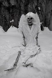 Skeletons with charm, humor and simply different