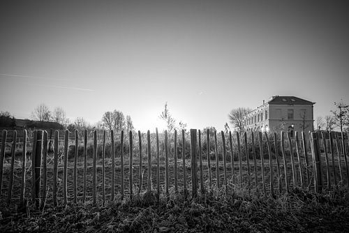 De oude dame in de zon