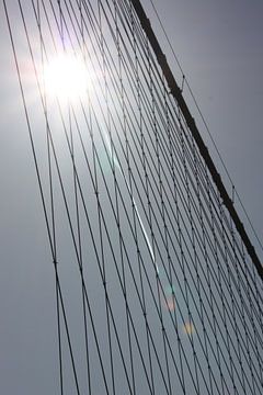Cables of the Brooklyn Bridge van Brenda van der Hoek