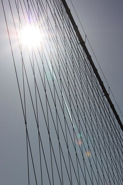 Cables of the Brooklyn Bridge by Brenda van der Hoek