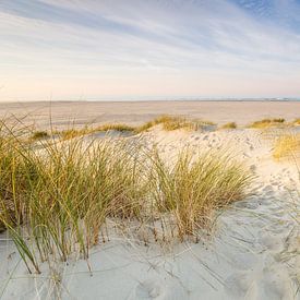 Ursula Reins Profilfoto