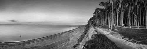 Landschap aan de Oostzee in Mecklenburg Vorpommern in zwart-wit.