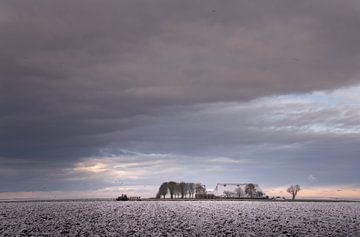 Winter in Pastellfarben, Noordpolder, Groningen von Bo Scheeringa Photography