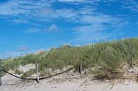 De belles dunes vertes hollandaises par Eigenwijze Fotografie Aperçu