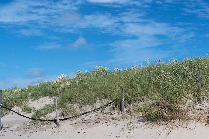 De belles dunes vertes hollandaises par Eigenwijze Fotografie