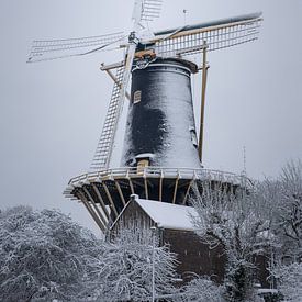 The Winter Greyhound by sQuarecoW