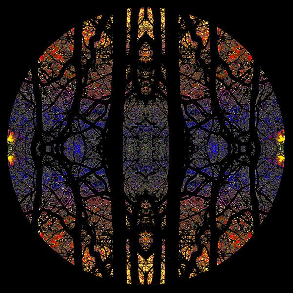 Hemisphäre 9 von Sandra Marcus