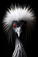 Vogelportret in zwart-wit minimalistisch