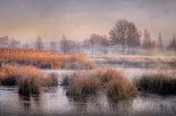 Mistige ochtend aan de Kettingdijk van Peschen Photography thumbnail