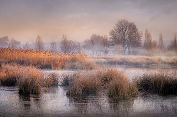 Mistige ochtend aan de Kettingdijk van Peschen Photography