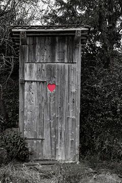 Toilet house with red heart