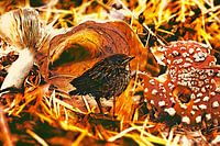 Alleine, im Herbst