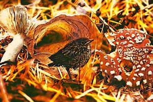 Alleine, im Herbst