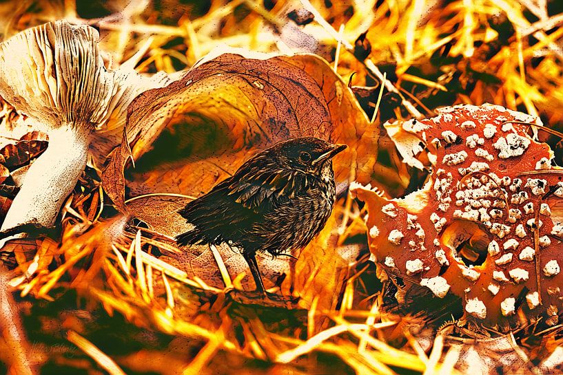 Seul, en automne par Helga Blanke