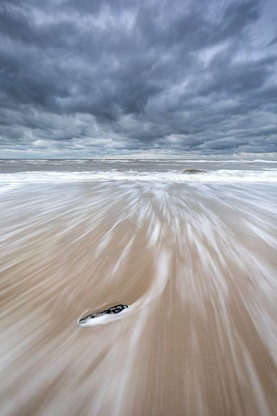 Driftwood! by Karin de Bruin