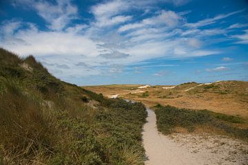 Paysage de dunes aux Pays-Bas sur Tanja Voigt