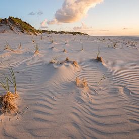 Traces dans le sable sur Jarno van Bussel