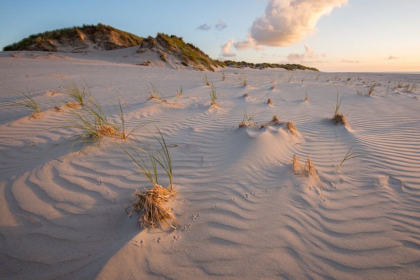 Spuren im Sand von Jarno van Bussel