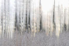 Planken Wambuis part 132 van Tania Perneel