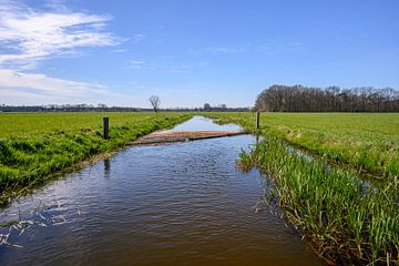 Betoverend natuurlandschap van een waterloop in Nederland - Limburg van Kristof Leffelaer
