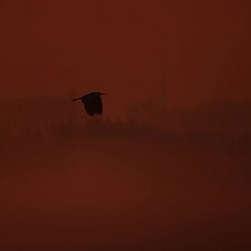 Flucht in der Stille II – Bennekom von PhotoManiX Artworks