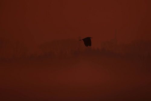 Fuite dans le silence II – Bennekom