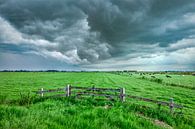 Donkere wolken boven de weilanden in de polder van Sjoerd van der Wal Fotografie thumbnail