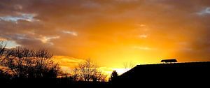 Abendsonne