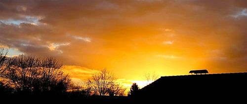 Abendsonne