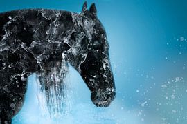 Waterfall Horse sur Kim van Beveren